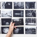 Acompañamiento individual en la creación de proyectos y fotolibros